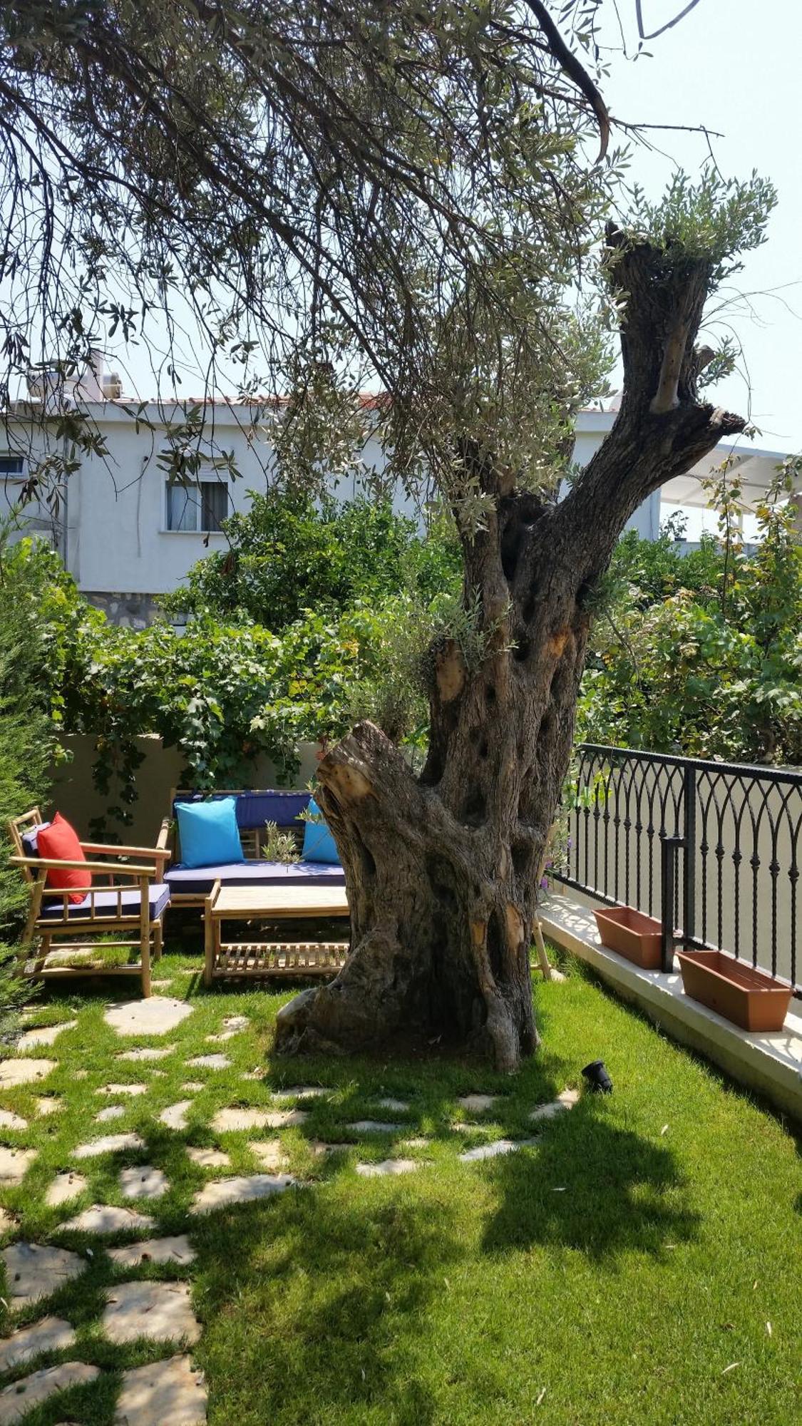 Cassiopeia Otel Alaçatı Ngoại thất bức ảnh